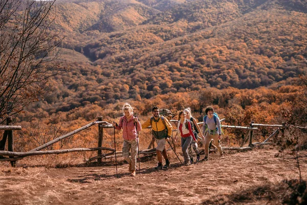 Hikers climbing the hill. They walking in the row. In background forest. Autumn season, adventure concept.