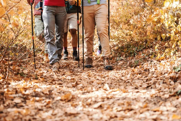 Primer Plano Las Piernas Los Excursionistas Caminando Por Bosque Tiempo — Foto de Stock