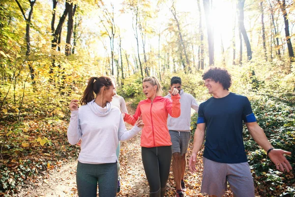 Kleine Groep Lopers Gekleed Sportkleding Praten Lopen Door Bossen Herfst — Stockfoto