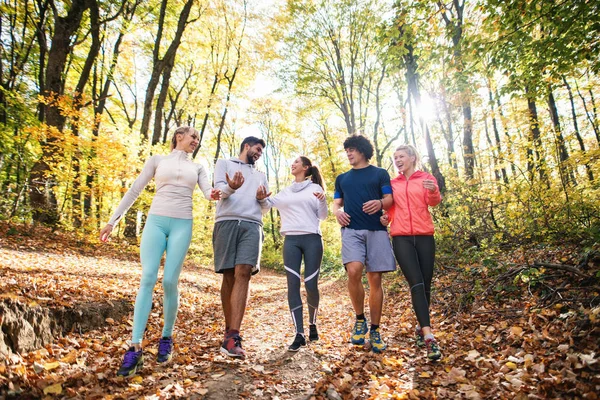 Group Runners Walking Woods Talking Autumn Season — Stock Photo, Image