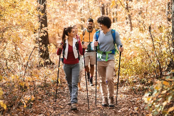 Happy Small Group Hikers Exploring Woods Autumn — Stock Photo, Image