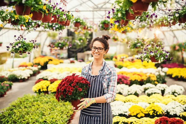 Ευτυχισμένος Καυκάσιος Γυναίκα Ανθοπωλείο Κρατώντας Λουλούδια Γλάστρα Ενώ Στέκεται Θερμοκήπιο — Φωτογραφία Αρχείου