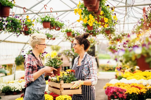 Twee Glimlachend Kaukasische Vrouwelijke Bloemisten Werken Kas — Stockfoto