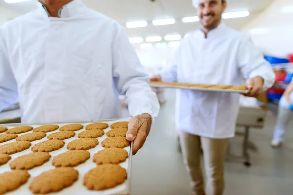 Близько Двох Робітників Які Носять Печиво Лотках Інтер Харчової Фабрики — стокове фото