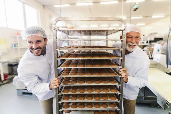 Two hard working smiling employees in sterile white uniforms pushing shelf with cookies. Food factory interior.