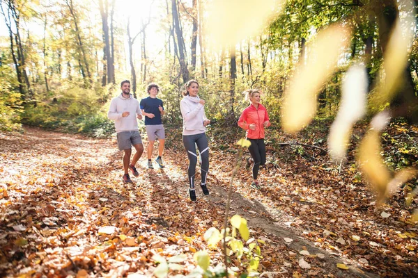 Lille Gruppe Mennesker Der Løber Skoven Efteråret - Stock-foto