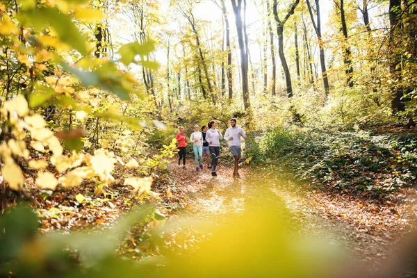 Pequeño Grupo Personas Corriendo Bosque Otoño — Foto de Stock