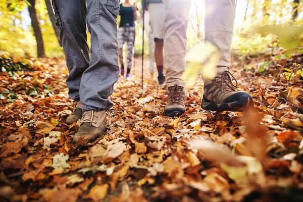 Κοντινό Πλάνο Της Πεζοπόρους Πόδια Περπατώντας Μέσα Από Δάση Φθινόπωρο — Φωτογραφία Αρχείου