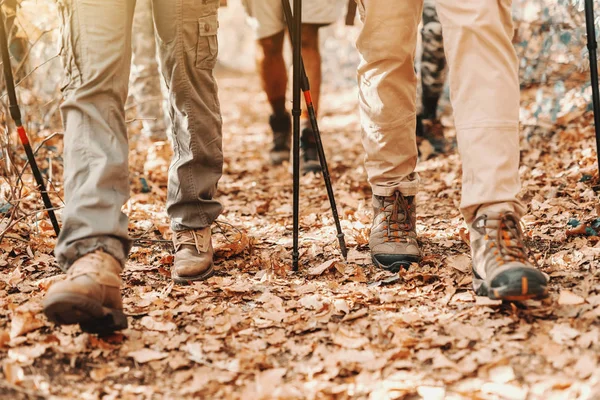 Close Van Wandelaar Voeten Lopen Door Bossen Herfst Bladeren Grond — Stockfoto