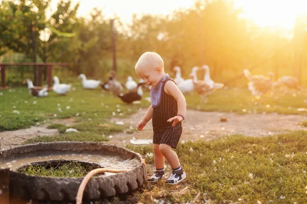 Niño Jugando Con Manguera Fondo Patos Gallinas Exterior Del Campo — Foto de Stock