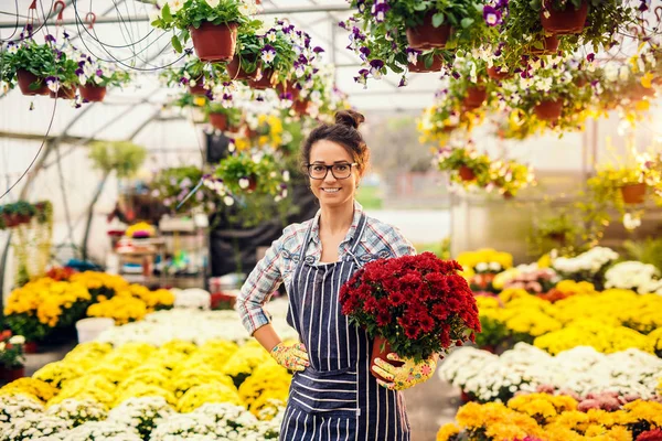 Gyönyörű Kaukázusi Mosolyogva Virágüzlet Gazdaság Pot Virágok Állva Üvegházhatást Okozó — Stock Fotó