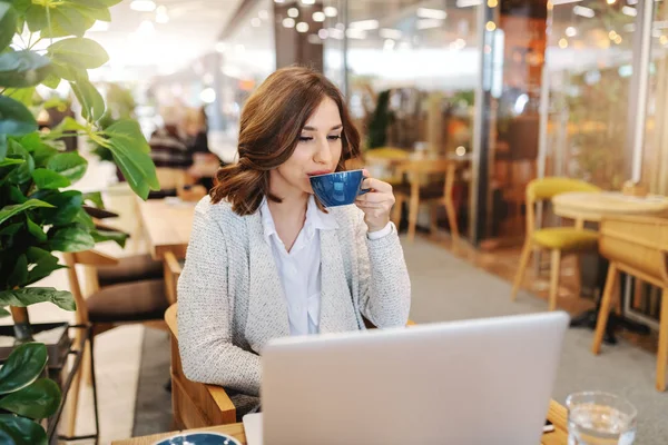 Charming Brunette Toothy Smile Using Laptop Drinking Coffee Cafeteria — Stock Photo, Image