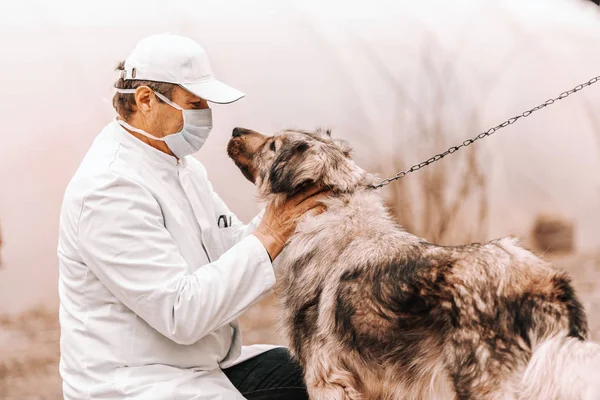 Rijpen Van Dierenarts Witte Jas Masker Cap Crouching Hond Aaien — Stockfoto