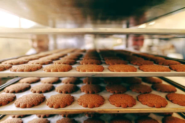 Close Deliciosos Biscoitos Saudáveis Bandejas Interior Fábrica Alimentos — Fotografia de Stock