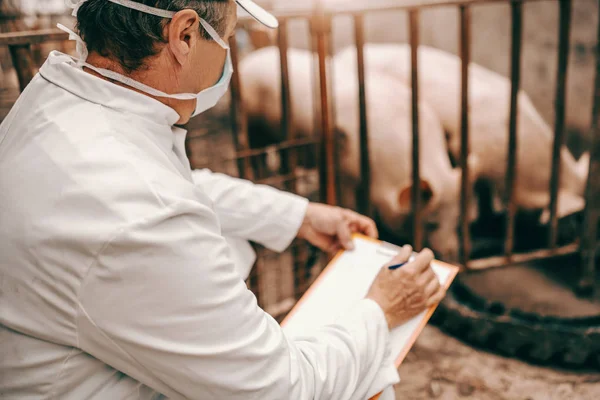 Zijaanzicht Van Dierenarts Witte Jas Masker Muts Klembord Houden Controleren — Stockfoto