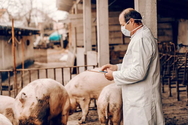 Dierenarts Witte Vacht Met Beschermend Masker Gezicht Schrijven Klembord Resultaten — Stockfoto