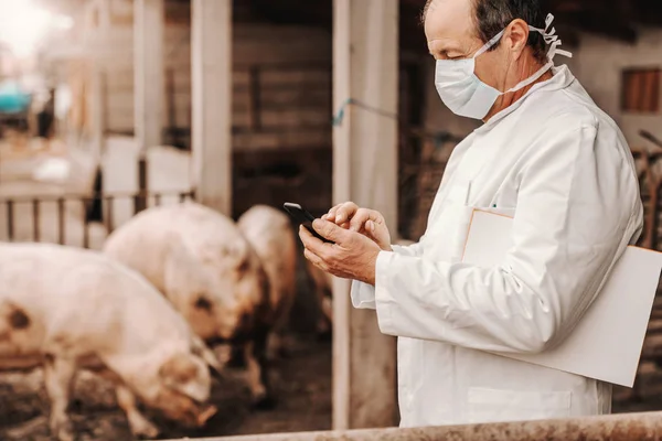 Veterinário Sênior Casaco Branco Máscara Protetora Segurando Prancheta Sob Axila — Fotografia de Stock