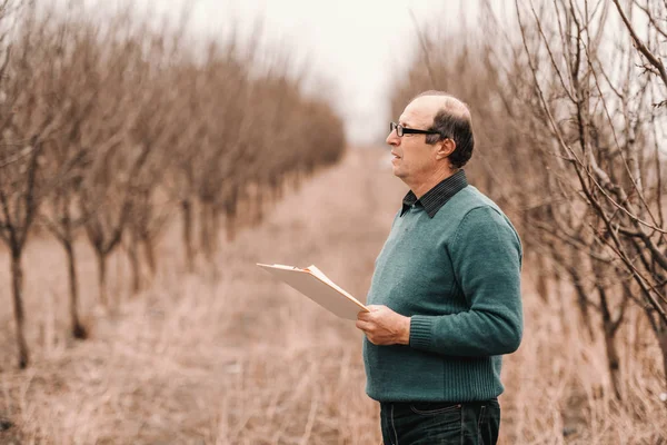 Agronomista Calvo Caucasiano Com Óculos Olhando Para Árvores Fruto Segurando — Fotografia de Stock