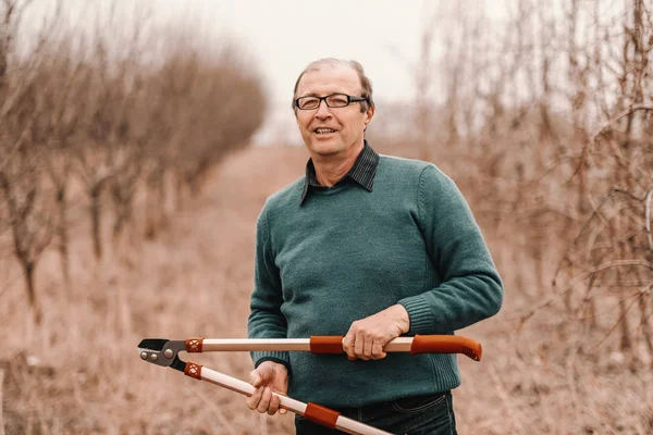 Caucasian Senior Agronomist Eyeglasses Holding Pruning Scissors Standing Orchard Spring — Stock Photo, Image