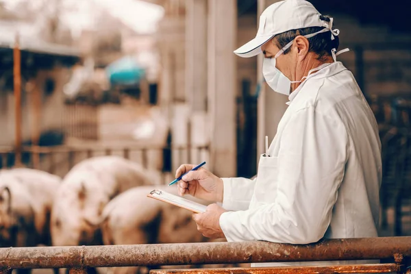 Veterinário Casaco Branco Chapéu Com Máscara Protetora Face Escrita Prancheta — Fotografia de Stock