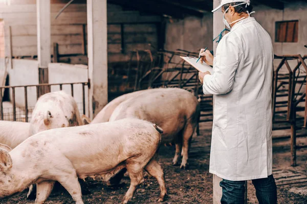 Veterinario Cappotto Bianco Cappello Con Maschera Protettiva Sul Viso Scritta — Foto Stock