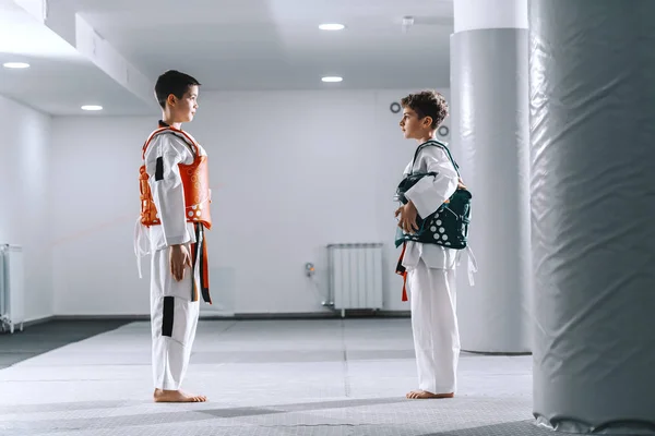 Dos Chicos Caucásicos Accesorios Taekwondo Antes Del Combate — Foto de Stock