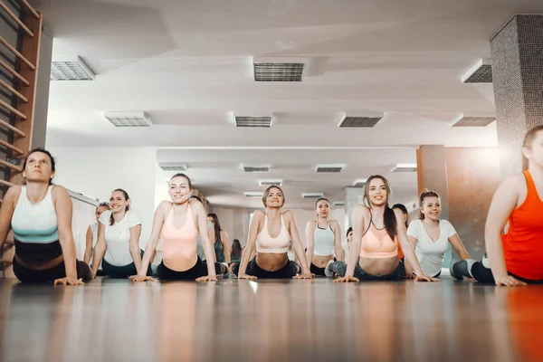 Grupo Mujeres Alegres Haciendo Pose Cobra Suelo Del Gimnasio Estira —  Fotos de Stock