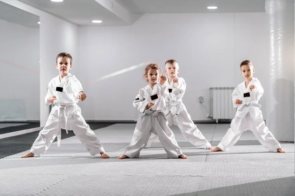Kleine Gruppe Kaukasischer Kinder Doboks Die Taekwondo Üben Und Sich — Stockfoto