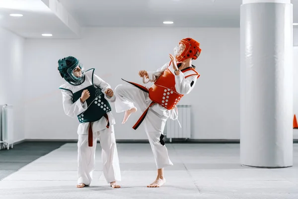 Urheilullinen Valkoihoinen Pojat Ottaa Taekwondo Koulutusta Valkoisella Kuntosalilla Yksi Poika — kuvapankkivalokuva