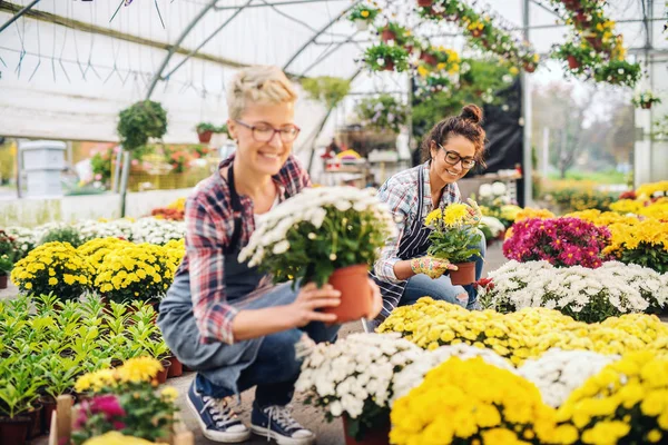 Två Vackra Kaukasiska Florister Förkläden Crouching Och Hålla Krukor Med — Stockfoto