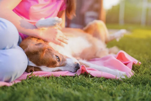 Imagem Cão Marrom Bonito Deitado Abraçando Com Menina Natureza — Fotografia de Stock