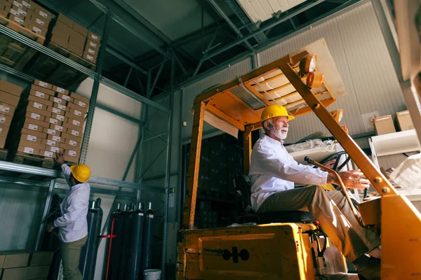 胡子男子头戴头盔驾驶叉车在仓库和背景中 他的同事在自我计数框 — 图库照片