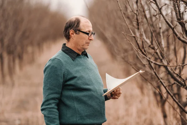 Caucasian Balding Agronomist Eyeglasses Looking Clipboard Standing Orchard — Stock Photo, Image