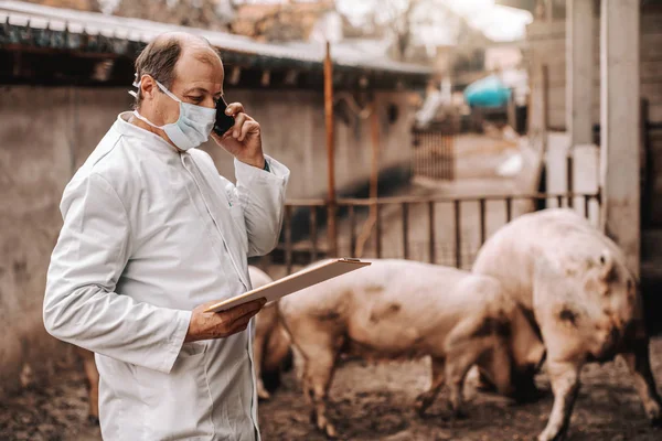 Veterinario Senior Bata Blanca Máscara Protectora Mirar Portapapeles Usar Teléfono —  Fotos de Stock