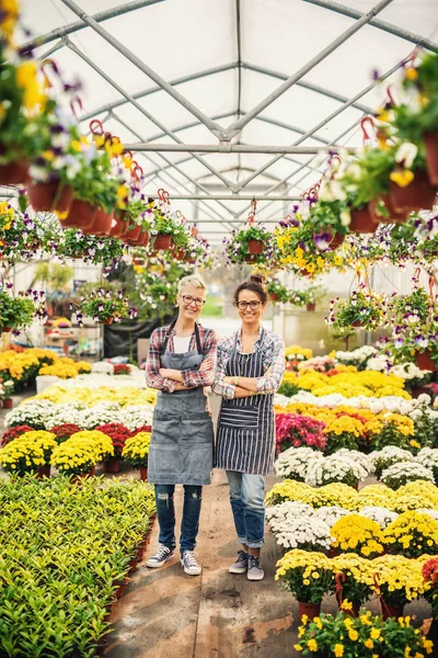 Deux Fleuristes Caucasiens Dans Des Tabliers Debout Dans Une Serre — Photo