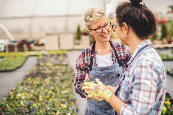 Dos Floristas Magníficos Pie Aire Libre Hablando — Foto de Stock