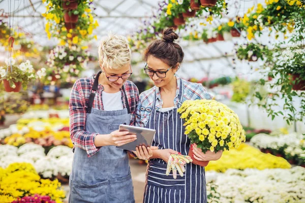 Twee Prachtige Bloemisten Staan Kas Kijken Naar Tablet Blonde Een — Stockfoto