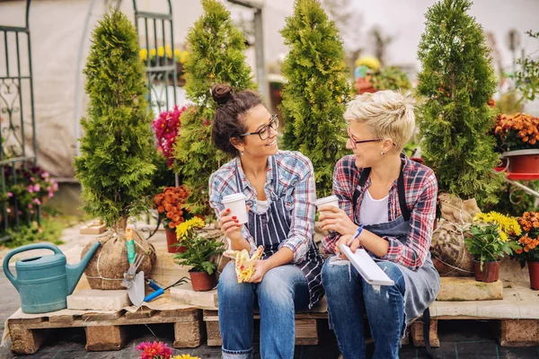 Két Gyönyörű Virágkereskedők Ülő Paletta Beszél Iszik Kávét Körülöttük Növények — Stock Fotó