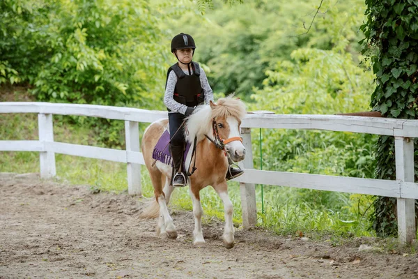 Caucasian Girl Helmet Protective Vest Riding Cute White Brown Pony — Stock Photo, Image