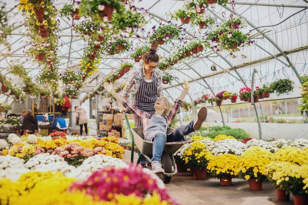 Dos Floristas Jóvenes Alegres Divirtiéndose Invernadero Una Mujer Empujando Otra — Foto de Stock