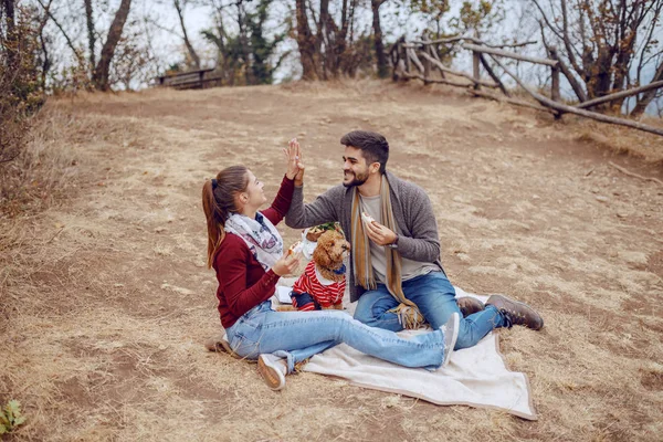Çekici Gülümseyen Çok Kültürlü Çift Piknikte Battaniye Üzerinde Oturan Rahat — Stok fotoğraf