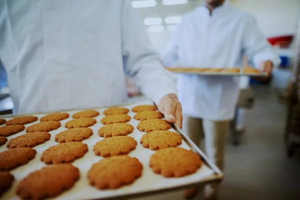 クッキー付きトレイを運ぶ無菌ユニフォームの食品工場労働者のクローズアップ — ストック写真
