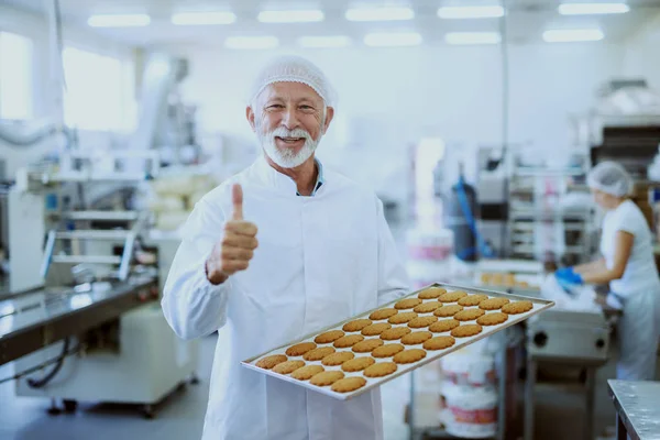 無菌の白いユニフォームを着たシニアアダルトフード工場の労働者の肖像画は クッキーと親指を与えるトレイを保持します 食品工場内装 — ストック写真