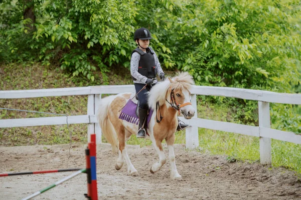 Chica Caucásica Con Casco Chaleco Protector Montar Lindo Caballo Pony —  Fotos de Stock