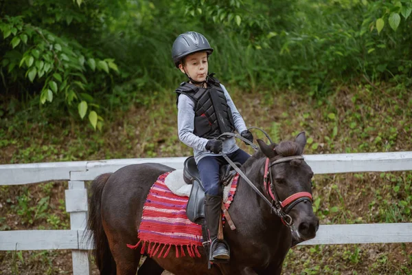 Playful Little Jockey Boy Riding Adorable Pony Sunny Day Ranch — Stock Photo, Image