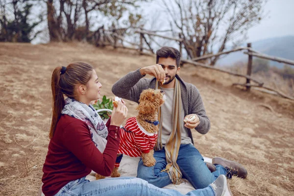 Överlycklig Söt Mångkulturell Par Sitter Filt Picknick Och Utfodring Hund — Stockfoto