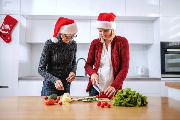 Happy senior woman and her daughter preparing meal for new years eve. Both having santa hats on heads. Daughter chopping red pepper. On kitchen counter are vegetables. Domestic kitchen interior.