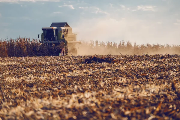 Bild Einer Erntemaschine Bei Der Maisfeldernte Herbst Haltungskonzept — Stockfoto