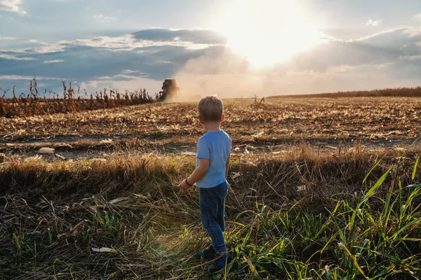 Mały Uroczy Chłopczyk Stojący Polu Kukurydzy Szukający Kombajnu Tle Jest — Zdjęcie stockowe