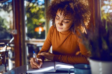 Portrait of cute mixed race student with curly hair and in turtleneck sitting in cafe and studying for exams. clipart